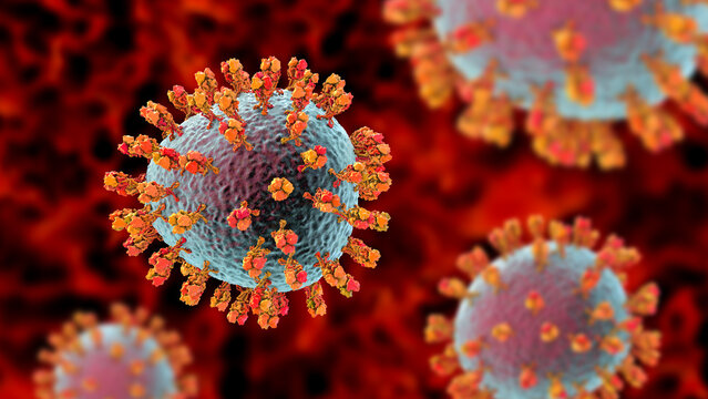 Junin virus particle, 3D illustration showing enveloped arenavirus with granular ribonucleoprotein structure, causative agent of Argentine hemorrhagic fever.