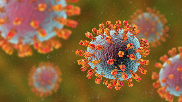 Junin virus particle, 3D illustration showing enveloped arenavirus with granular ribonucleoprotein structure, causative agent of Argentine hemorrhagic fever.