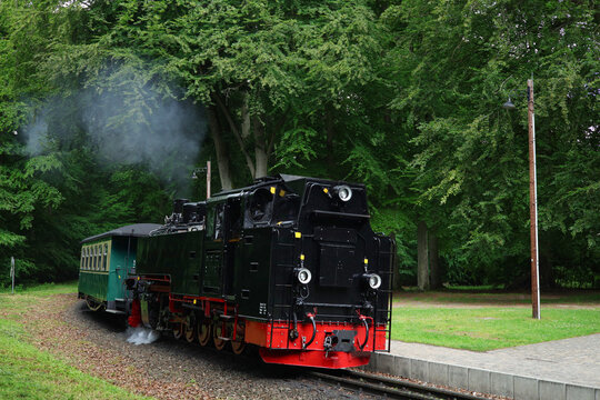 The old narrow-gauge steam locomotive on the island of R&uuml;gen in the Granitz (a protected forest area), Baltic Sea &ndash; Germany