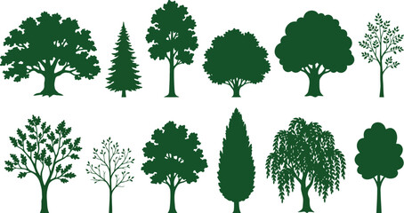 Variety Of Tree Silhouettes On A White Background © Mehedi