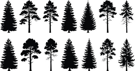 Fototapeta premium Conifer Tree Silhouettes On White Background Collection Of Evergreen Shapes