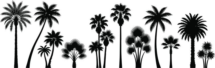 Palm tree silhouettes against a white background tropical vegetation illustration © Mehedi