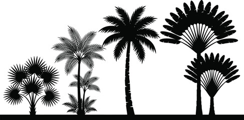 Palm tree silhouettes against a white background tropical vegetation illustration © Mehedi