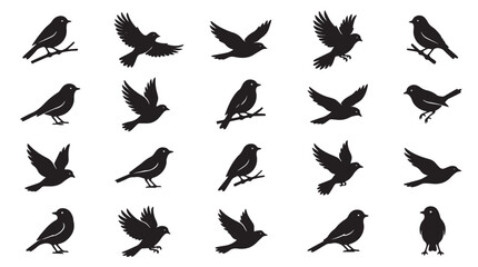 Obraz premium Black bird silhouettes in various flying and perched poses isolated on white background