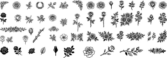 Fototapeta premium Collection of black and white rose illustrations and floral designs