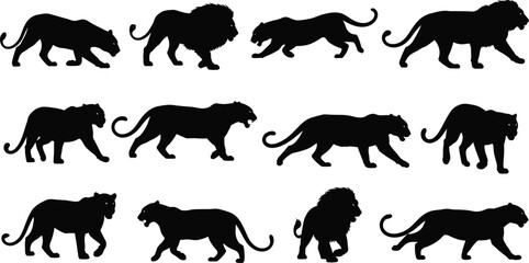 Big Cats Silhouette Set Featuring Stalking Lion, Tiger, Panther, Leopard, and Jaguar Vectors Isolated on White Background for © Hello World