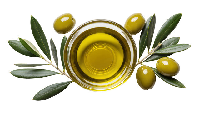 Golden olive oil in glass bowl with fresh olives and leaves, isolated on transparent background