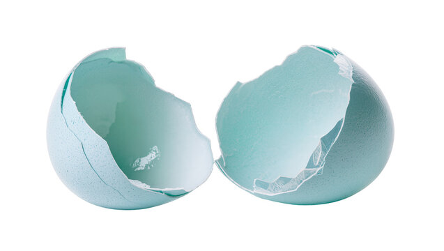 Cracked blue eggshell halves revealing inner texture, isolated on transparent background