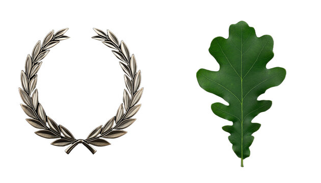 Black Laurel Wreath and Green Oak Leaf on White Background.
