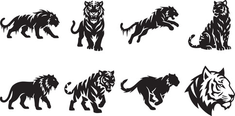 Fierce aggressive tigers running roaring and pouncing © HM