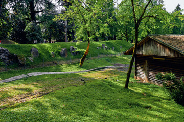 Obraz premium Cabin grass trees path shed forest nature sunlight in a rustic wooden cottage scene with meadow and hillside, peaceful outdoor landscape, dappled shadows and mossy embankment near building.