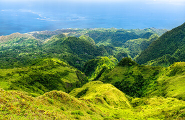 Fototapeta premium Vibrant green volcanic slopes of Mount Pelee descend to the blue Caribbean Sea under a bright sky in Martinique, France