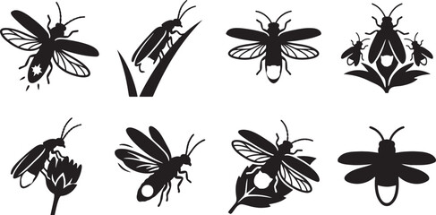 Glowing firefly beetles and night insect graphics with beautifully detailed wings © HM