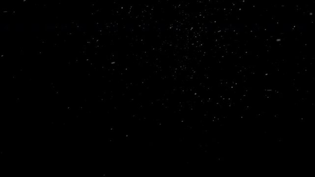 Cinematic Organic Dust Particles Overlay with Shimmering Airborne Motion