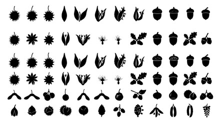 Autumn Harvest Icons Set, Fall Nature Elements Collection, Seasonal Symbols Vector Graphics, Organic Shapes for Design © Juboraj