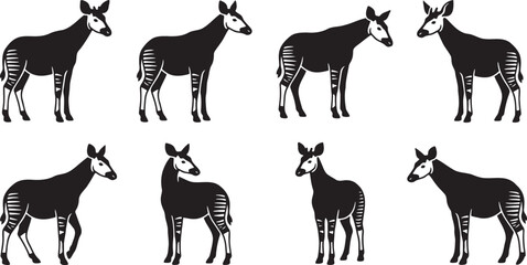 African okapi wild mammals standing elegant silhouettes © HM