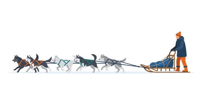 Sled dog team of huskies pulling musher across snow.