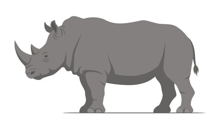 Strong gray rhinoceros walking on white background. © Yusuf