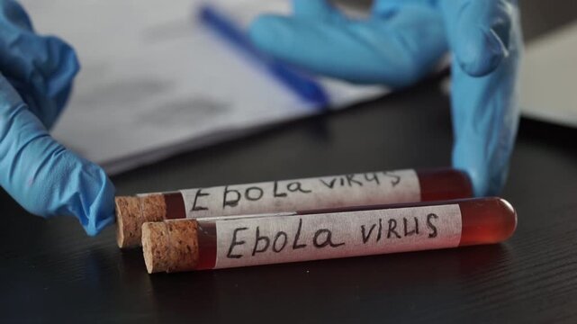 close up view of two glass test tubes labeled ebola virus filled with blood samples on a dark desk with blurred scientist hands in blue medical gloves typing on a laptop keyboard