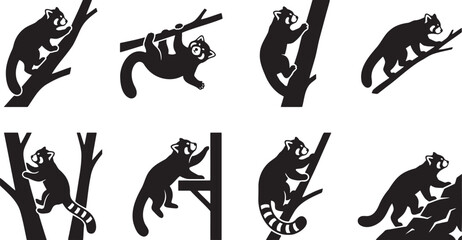 Fototapeta premium Adorable red pandas climbing tree trunks forest wildlife silhouettes