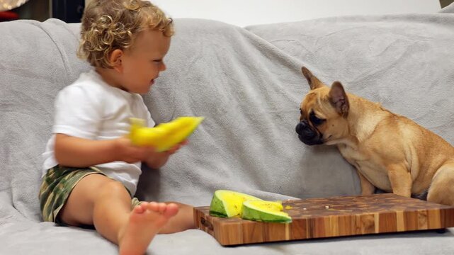Little kid teasing puppy by extending watermelon slice toward it and then quickly pulling it back, not allowing puppy even lick of sweet watermelon. Young boy and dog on couch