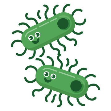 Salmonella bacterias illustration over white background in colorful vector style. Suitable for medical research, science projects, and biology visuals