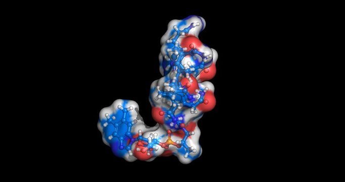 Cobalamin, essential cofactor vitamin for metabolic regulation and neurological health, 3D molecule spinning, 4K