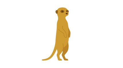 Cute cartoon meerkat standing upright on white background. © Muhammad