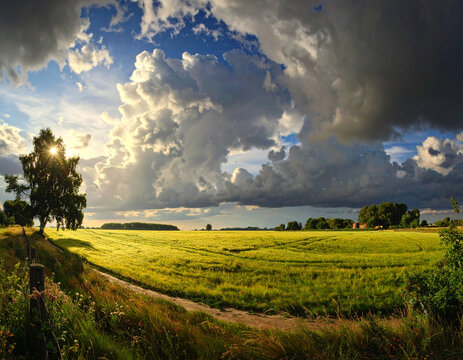 Scenic countryside field with sunlight through clouds