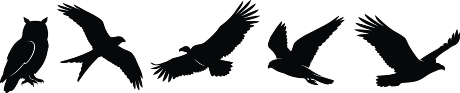 Birds of prey silhouette collection featuring owl eagle hawk falcon and vulture flying isolated on white background