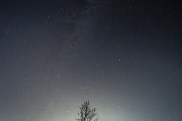 Starry Night Sky in Andromeda, South Charleston © UA-Visions.com