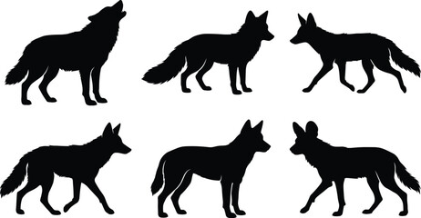 Obraz premium Wild canines silhouette collection featuring howling wolf fox coyote jackal and wild dog isolated on white background