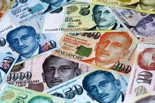 Singapore dollar money bills in pile on table. Singapore SGD currency cash close up