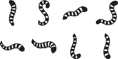 Striped and ringed animal tails shown in various elegant curved shapes © HM