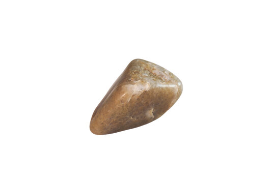 Macro view of a triangular polished chalcedony river stone isolated on white background. Tumbled light brown flint pebble with shiny smooth texture. Geology mineral gemstone for rock collection.