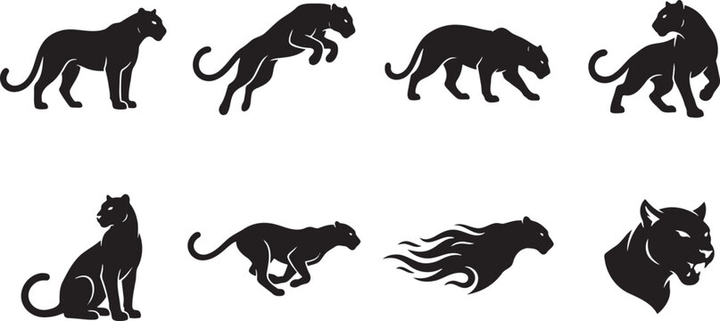 Athletic black panther and leopard silhouettes sprinting, leaping, and roaring loudly