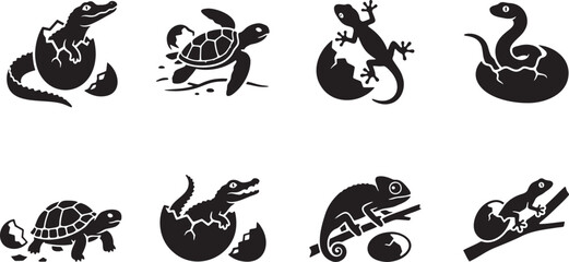 Fototapeta premium Cute baby reptiles hatching out of broken egg shells
