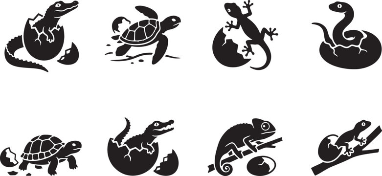 Cute baby reptiles hatching out of broken egg shells