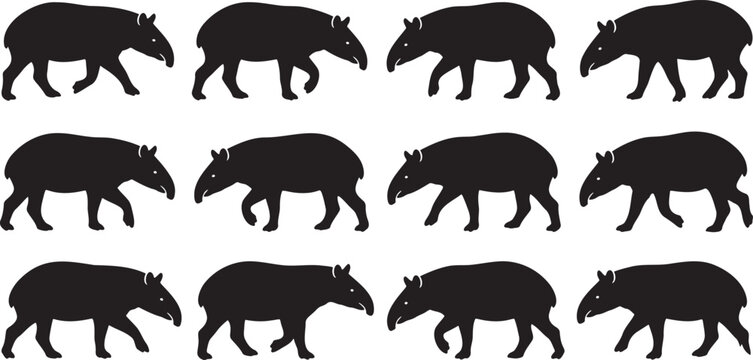 Exotic wild tapir silhouettes walking and standing in profile