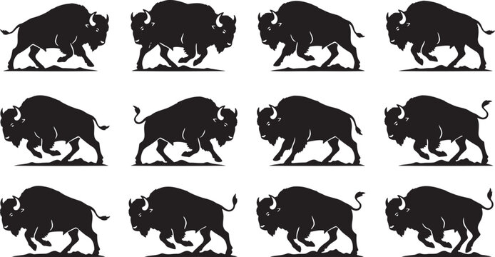 Massive American bison buffalo silhouettes running and charging fast