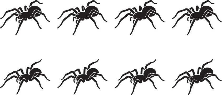 Creepy long legged spiders crawling in different angles