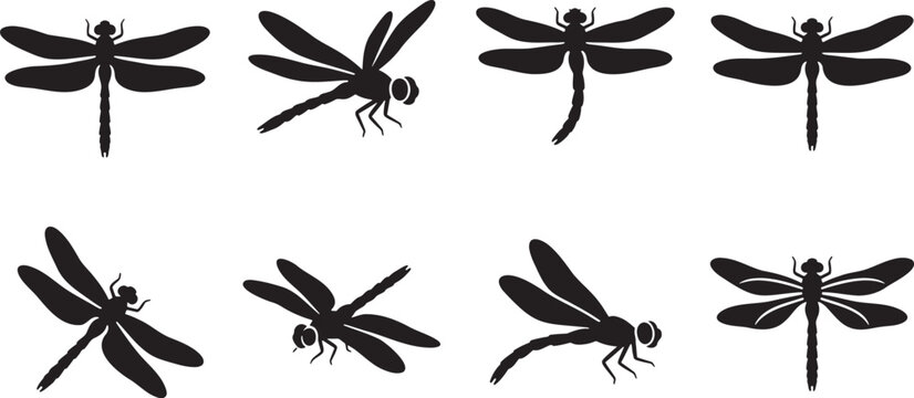 Delicate dragonfly silhouettes flying in top and side angles