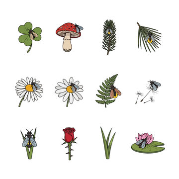 Luminous firefly vector light insect set on forest flora elements