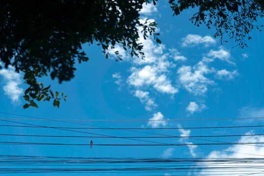 Clear Blue Sky with Clouds and Overhead Power Lines