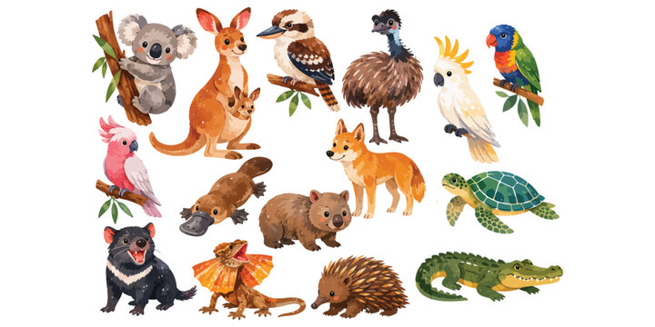 Watercolor Australian wildlife animals and native fauna collection