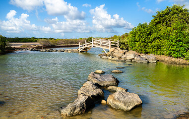 Fototapeta premium The scenic wooden bridge at Pont de Anse a Prunes in Sainte Anne, Martinique, surrounded by rocks, lush green mangroves, and blue sky. Hiking path to the Savanna of Petrifications. Caribbean France