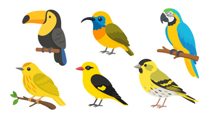 Fototapeta premium Yellow bird collection in flat style. Cute yellow bird set featuring colorful species for education, wildlife guides and learning.