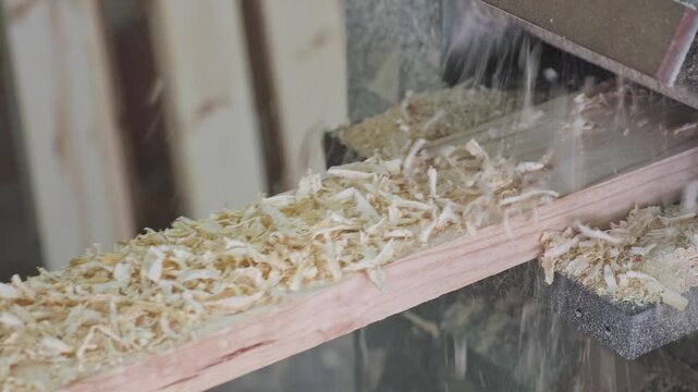 Timber going through a thickness planer