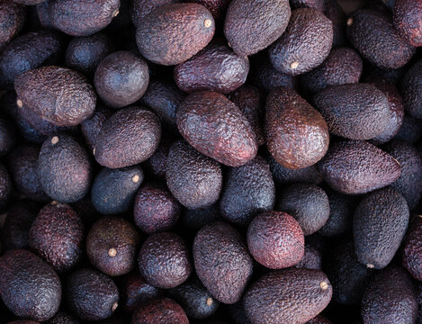 Fresh Ripe Hass Avocado Background