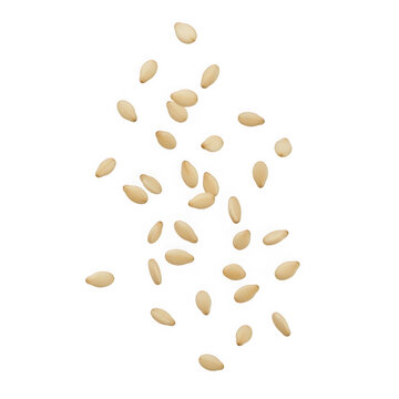 Scattered sesame seeds against white background isolated on transparent background